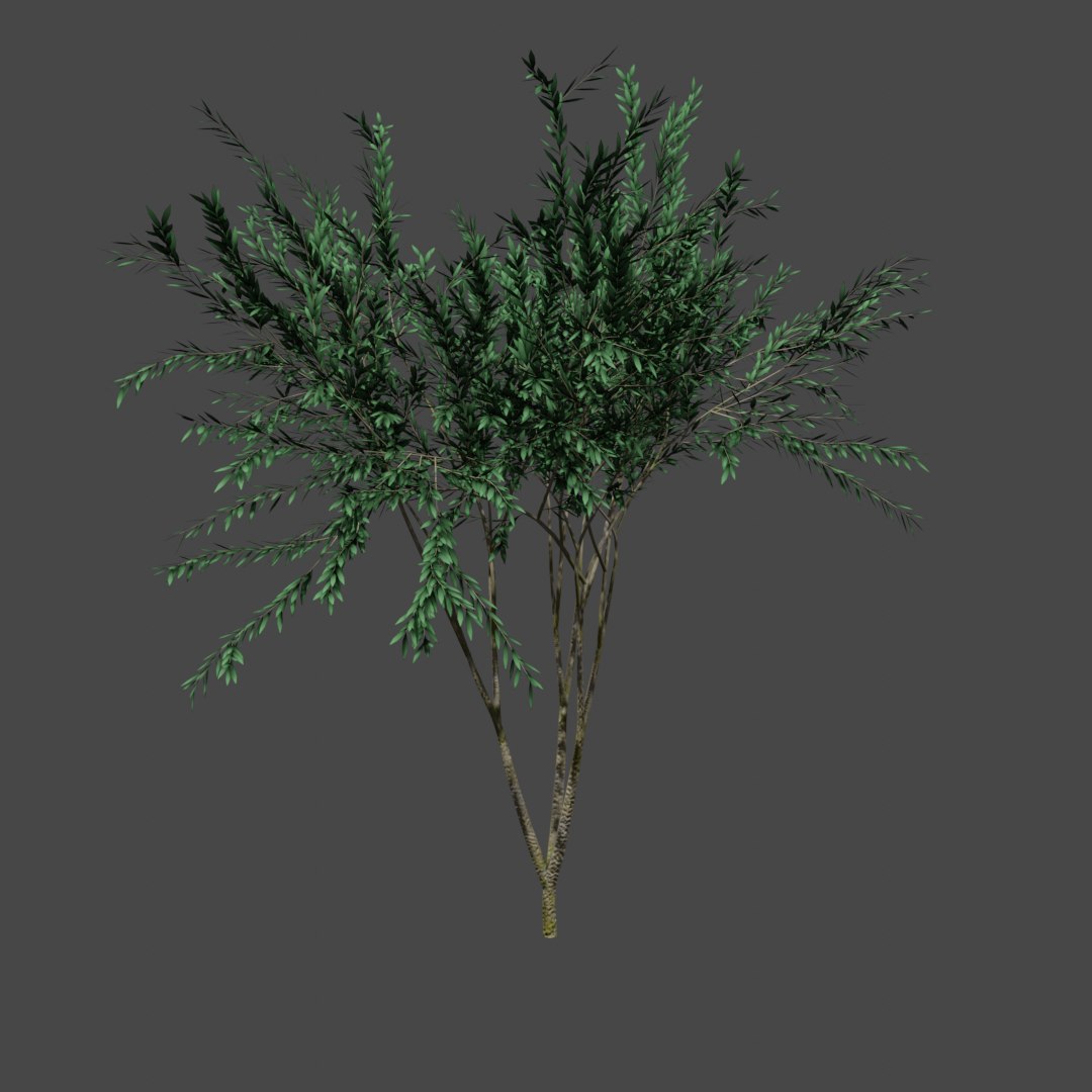 Tree pbr model - TurboSquid 1528834