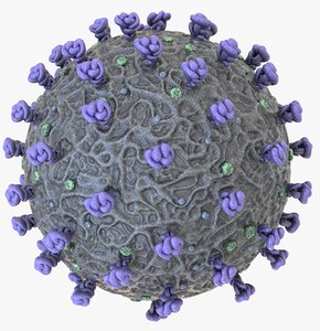 corona virus model