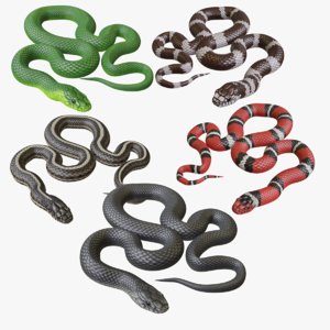 3D model snake reptiles