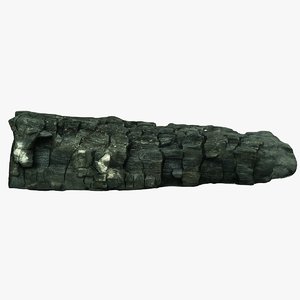 charred log 3D model