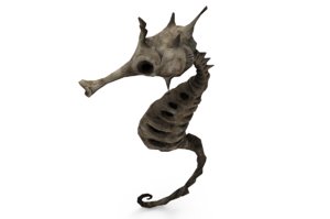 3D skeleton seahorse model