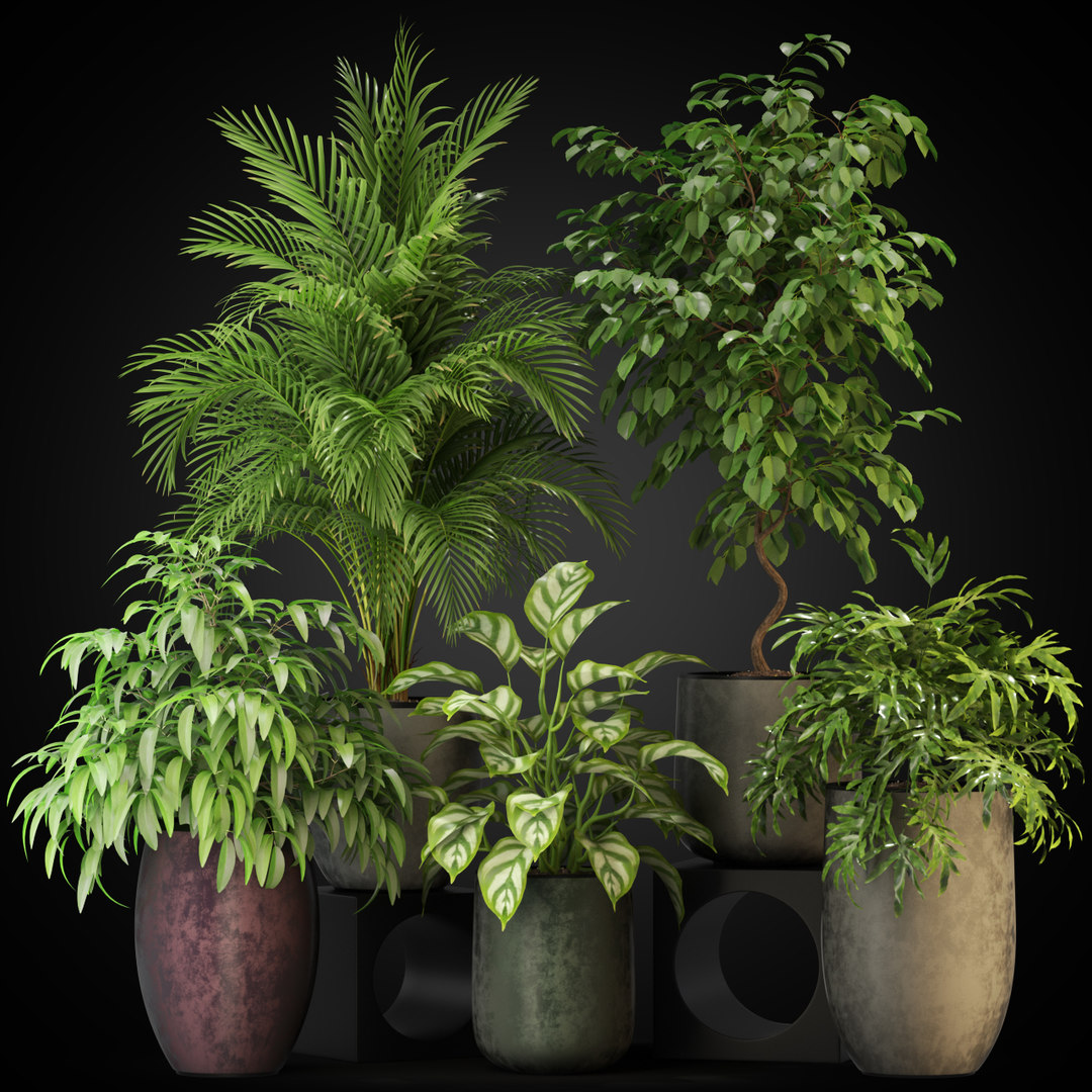 3d models plants