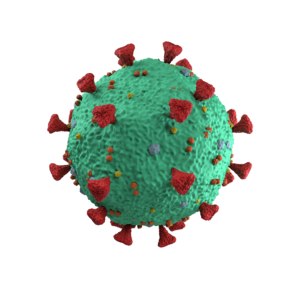 3D coronavirus virus science