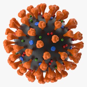 coronavirus v2 3D model