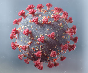 corona virus covid-19 modeled 3D