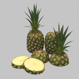 3D model pineapple set