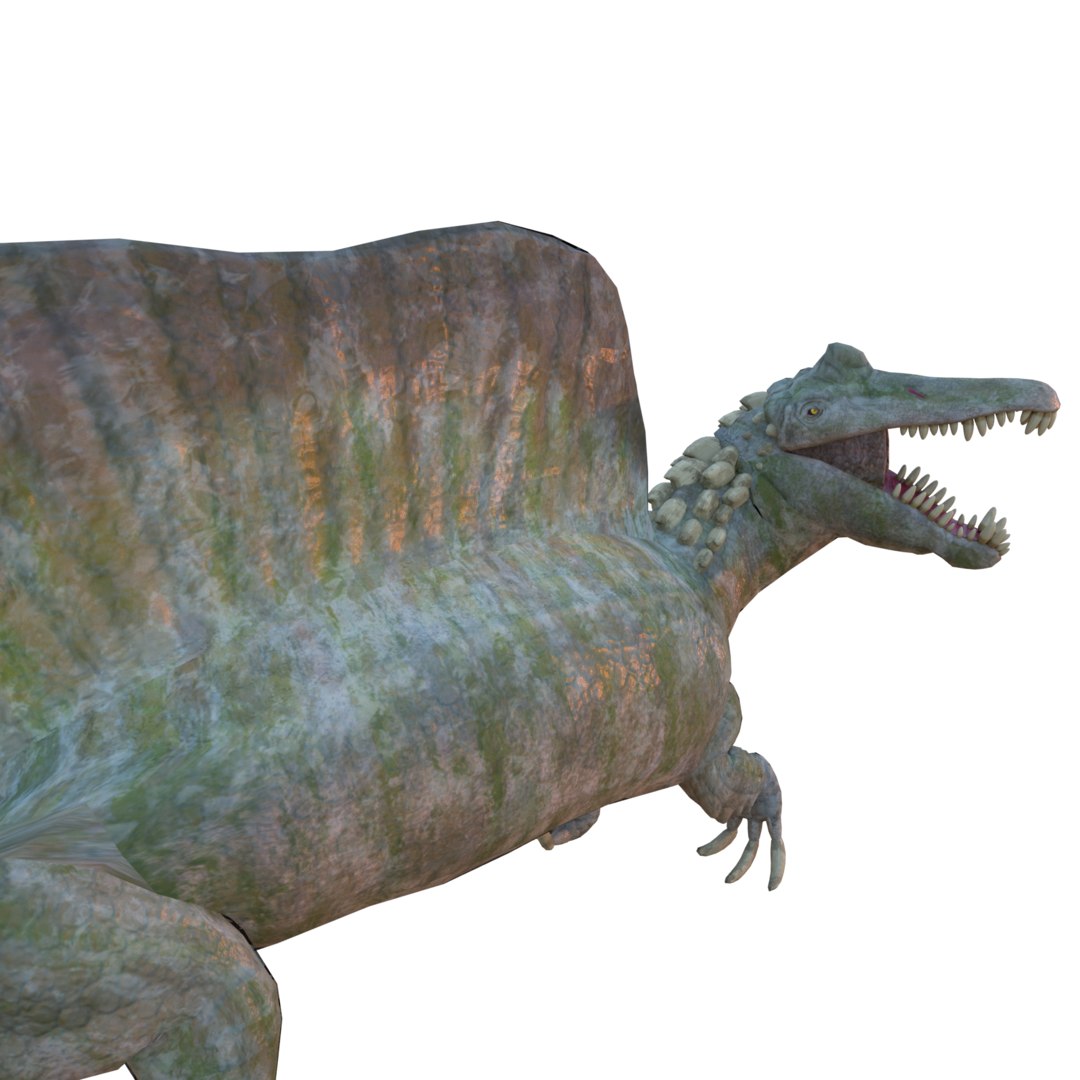 spinosaurus 3d google