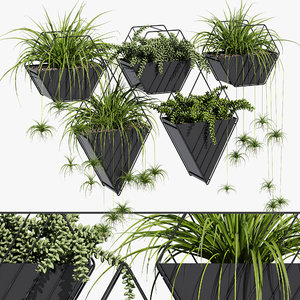3D tulane hanging planter decor