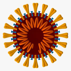 3D coronavirus v3 cross section