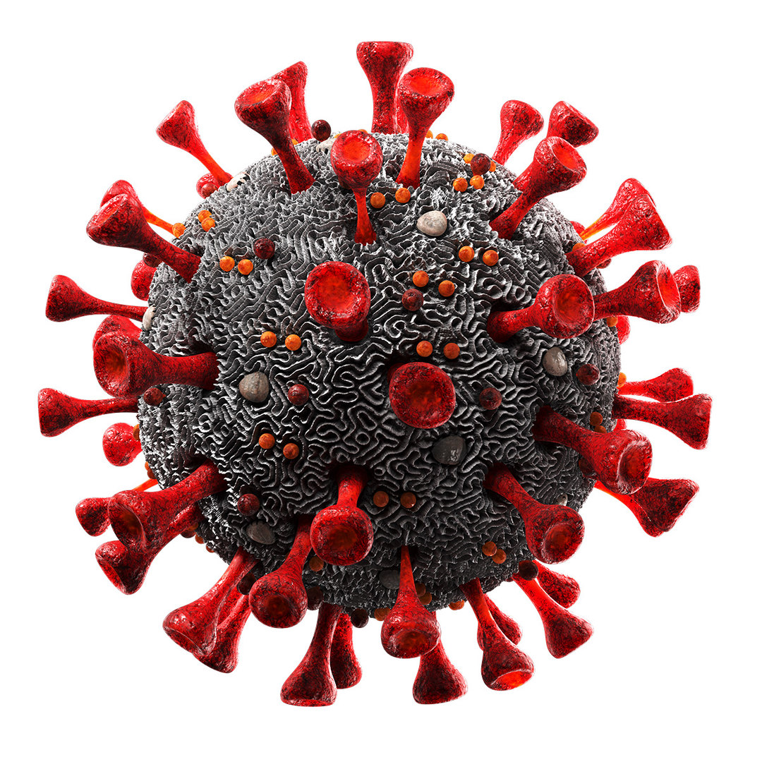 3D coronavirus sars-cov-2 model - TurboSquid 1530906