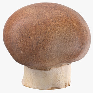 crimino mushroom 02 model
