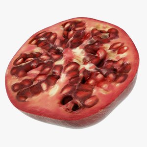 3D half pomegranate details