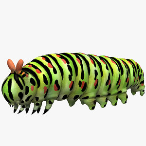 3d model caterpillar