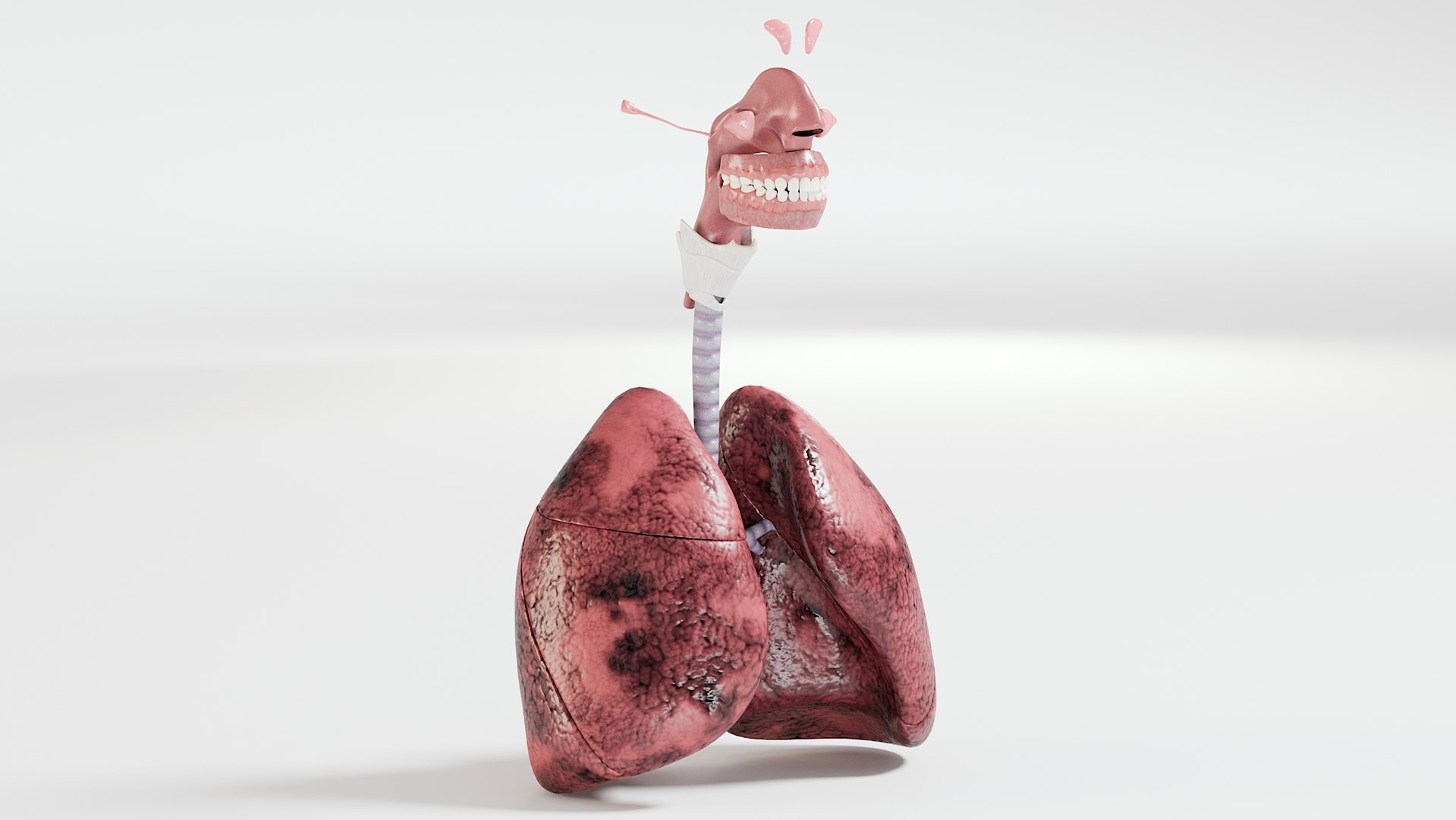 Respiratory smoker s lungs 3D model TurboSquid 1531510