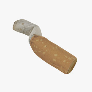 3D cigarette end 5 model