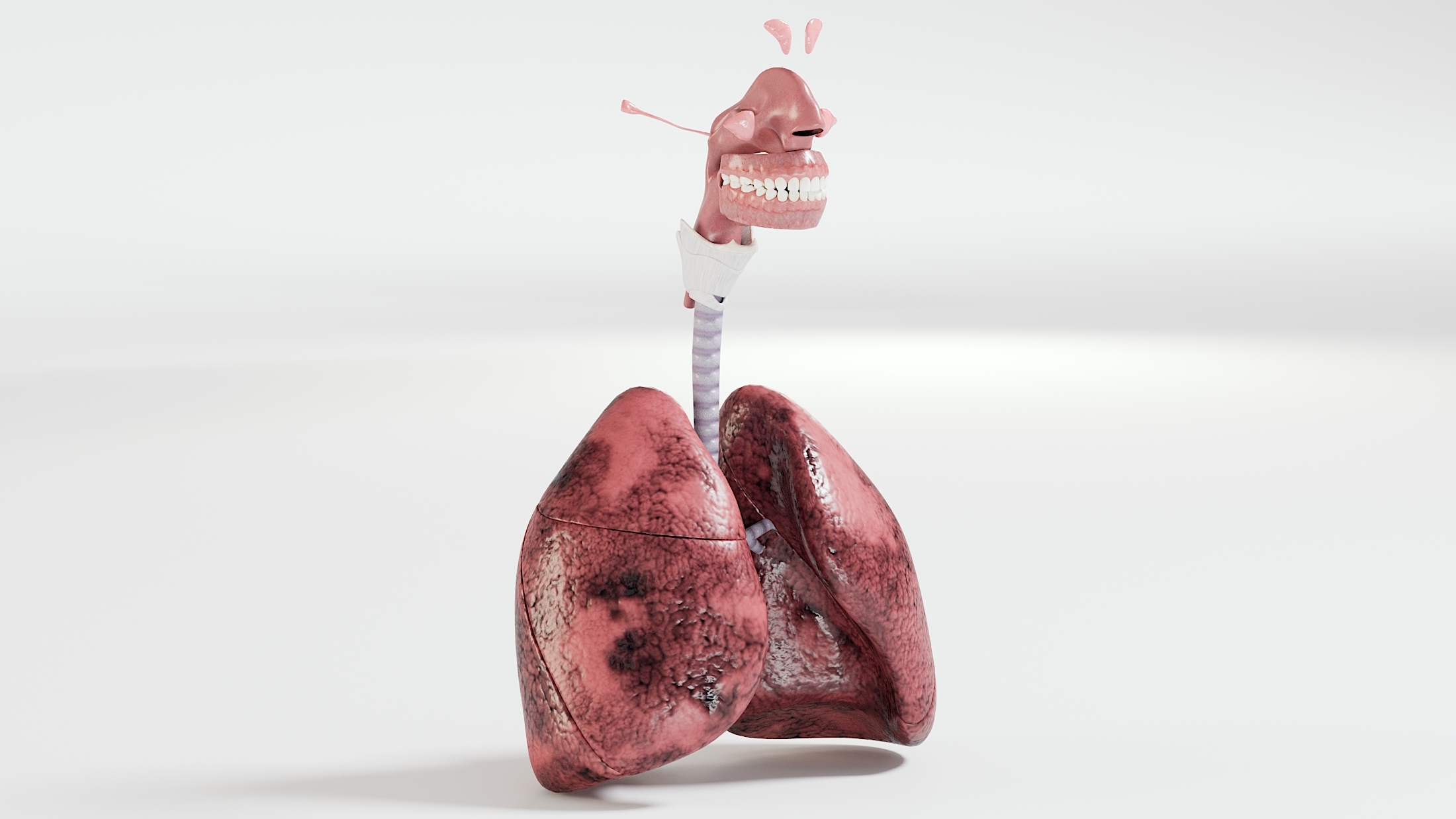 3D respiratory smoker s lungs model TurboSquid 1531699