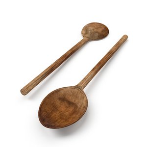 wooden spoon 3D
