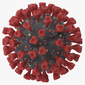 3D novel coronavirus virus science model