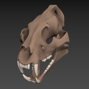 3D tiger skull model