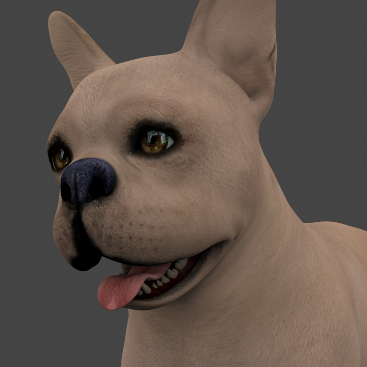 Dog 3D model TurboSquid 1533113