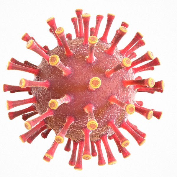 modeled coronavirus covid 19 model