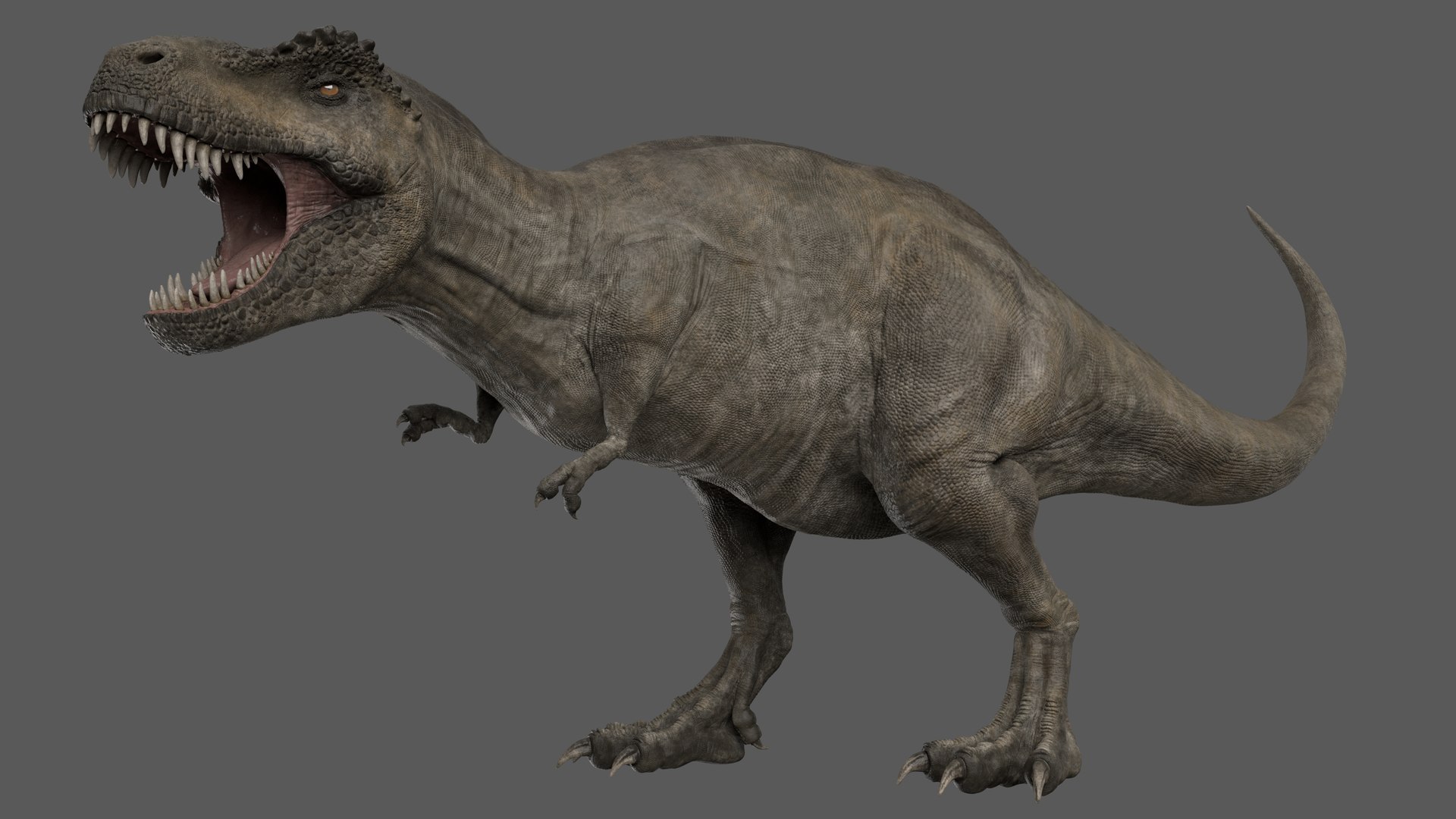 3D rigged tyrannosaurus rex trex animation model