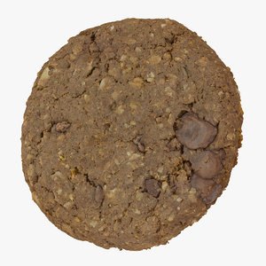3D biscuit oat chocolate 01