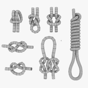 knots 3D model