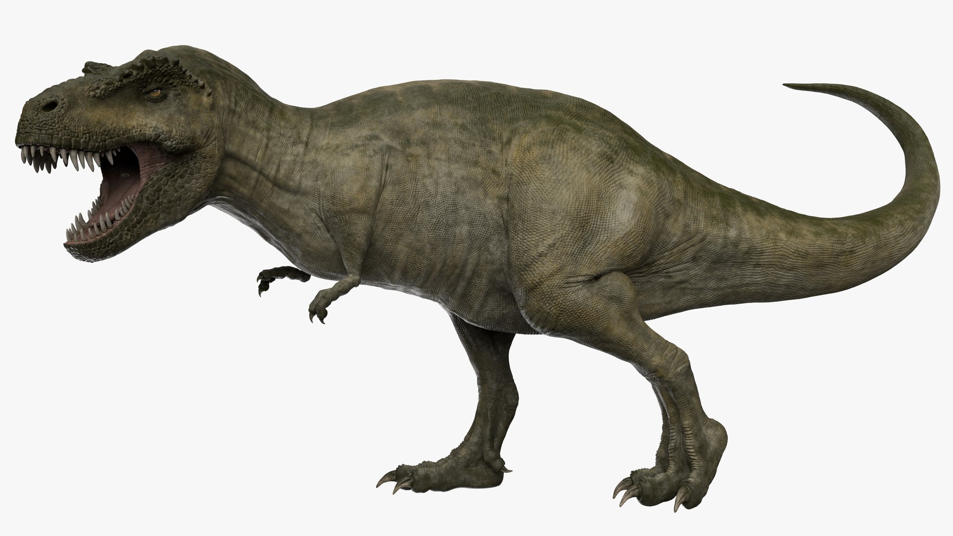 Rigged tyrannosaurus rex trex 3D model TurboSquid 1534432