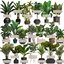 new plants pots interior 3D model