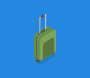 isometric travel bag