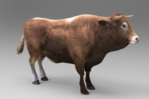 3d bull animal cow