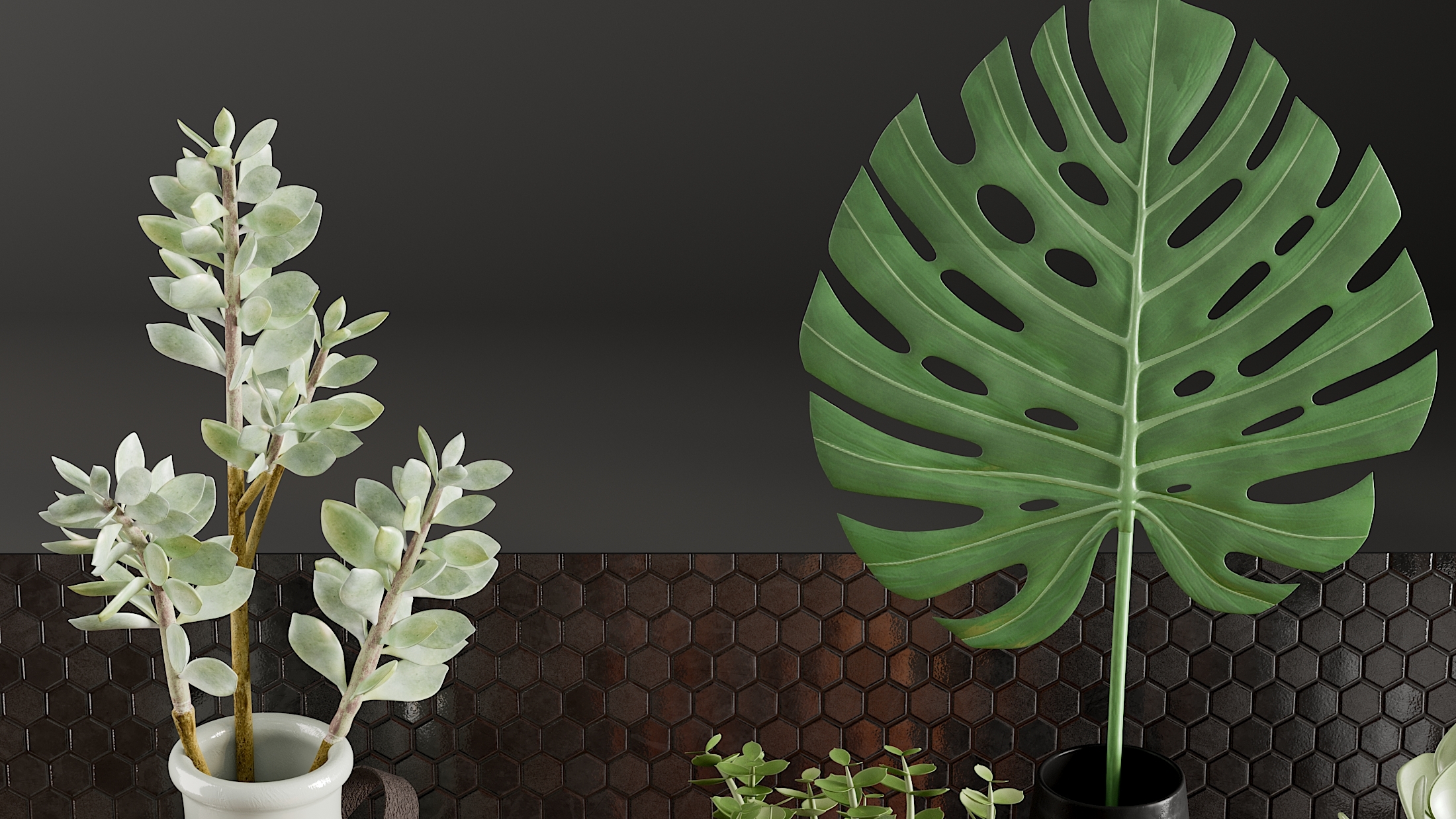 3D realistic potted plants model TurboSquid 1533900