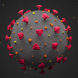 3D model covid-19 coronavirus virus