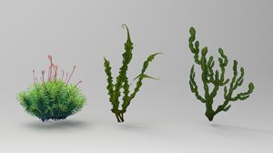sea plant 3D model