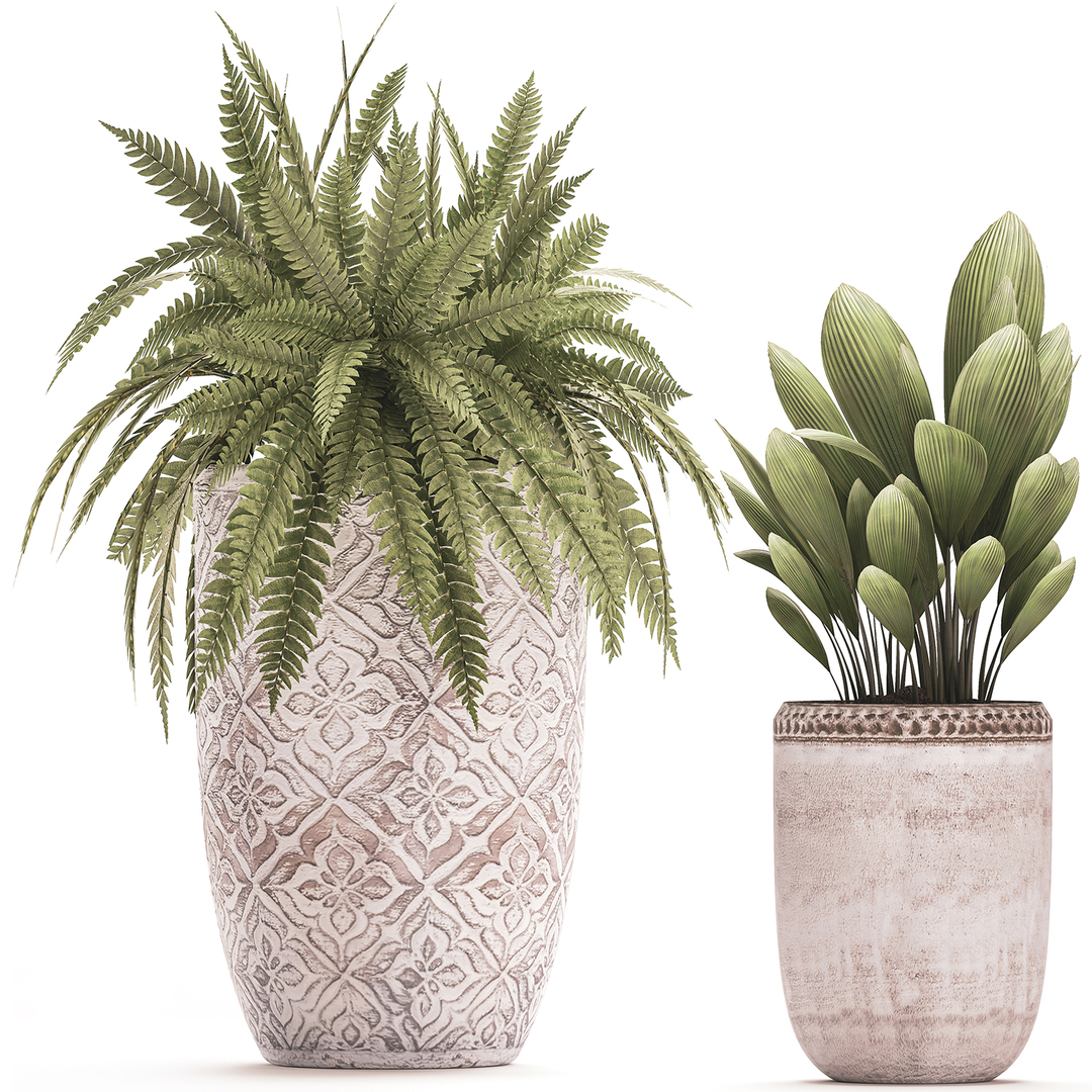 Potted interior flowers plants 3D model - TurboSquid 1534391