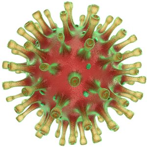 3D coronavirus virus red model