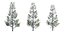 3D trees acacias palms maples model