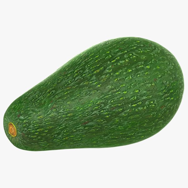 3D realistic avocado