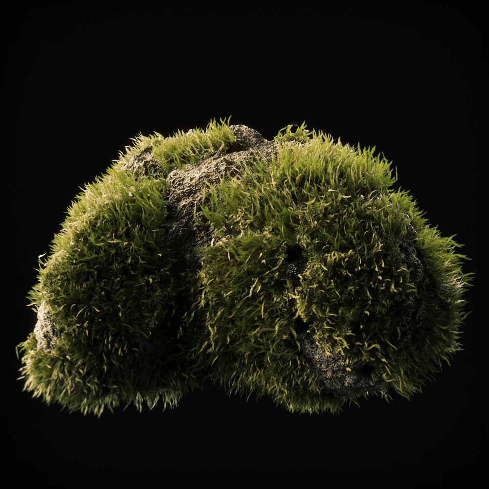 moss low poly 153d模型