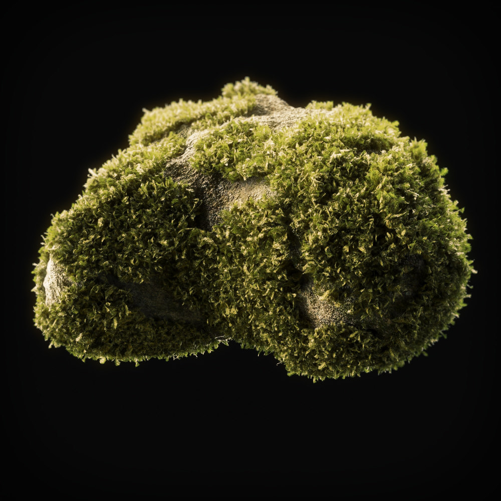 Moss 10 3D model - TurboSquid 1535009