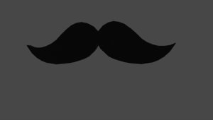 3D moustache