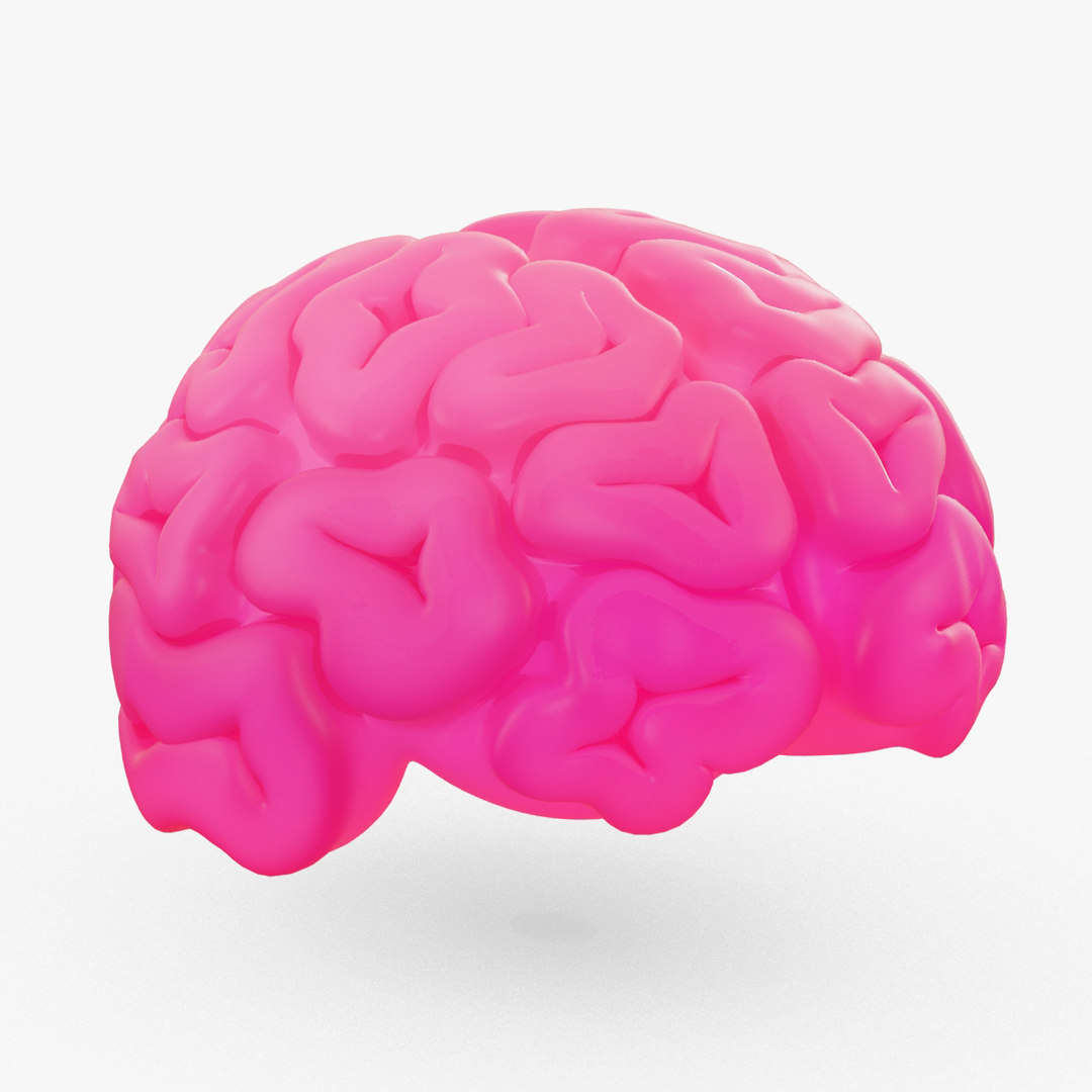 3D cute cartoon brain - TurboSquid 1519407