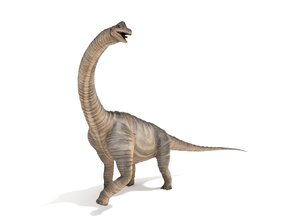 3D brachiosaurus rigged