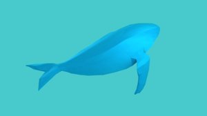 whale 3D