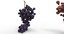 grape 4 types 3D