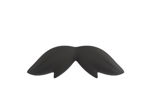 mustache 3D