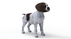 pup shorthair 3D model