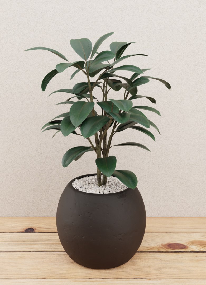 Plant pot  3D  model  TurboSquid 1536549