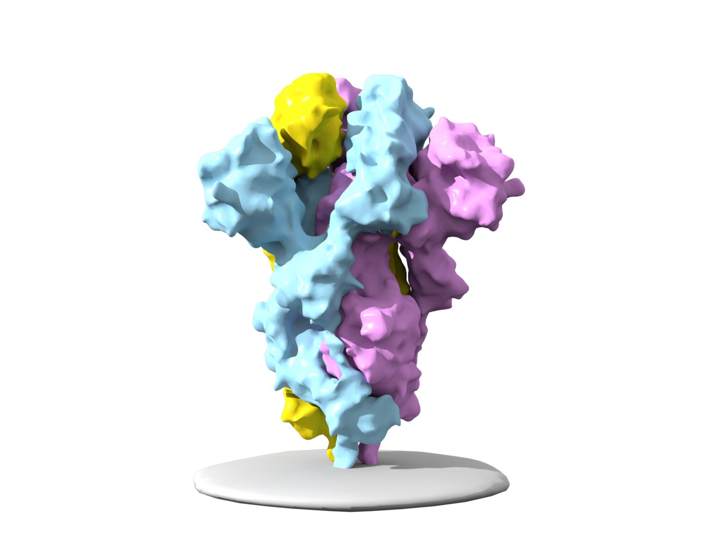 Sarscov2 spike protein 3D model TurboSquid 1536792